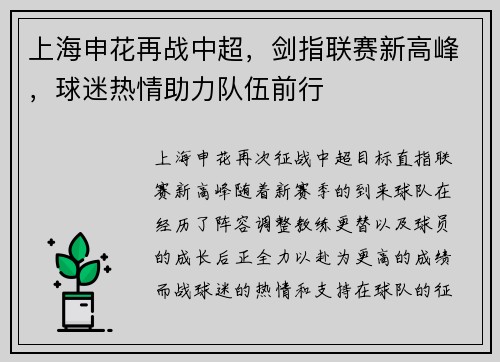 上海申花再战中超，剑指联赛新高峰，球迷热情助力队伍前行
