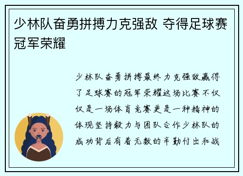 少林队奋勇拼搏力克强敌 夺得足球赛冠军荣耀