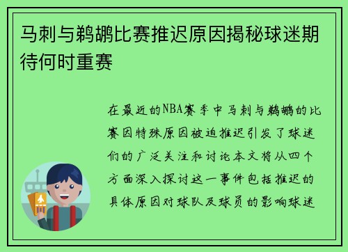 马刺与鹈鹕比赛推迟原因揭秘球迷期待何时重赛