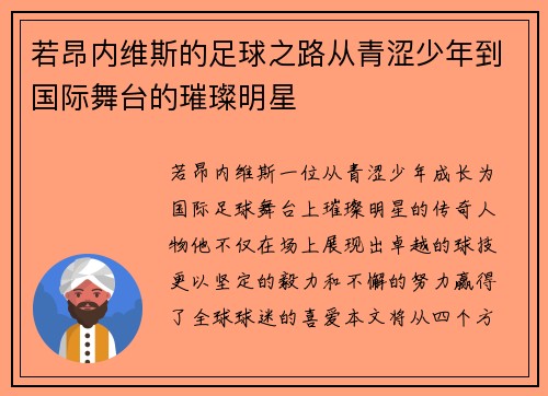 若昂内维斯的足球之路从青涩少年到国际舞台的璀璨明星