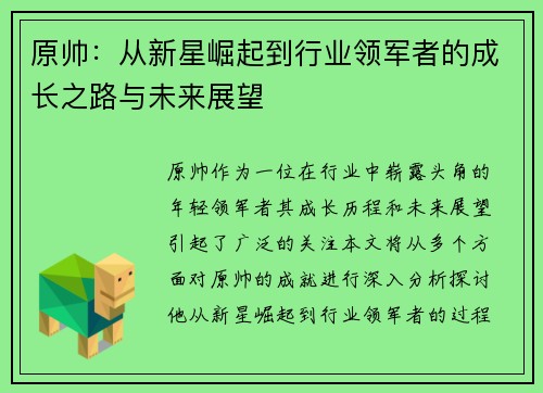 原帅：从新星崛起到行业领军者的成长之路与未来展望