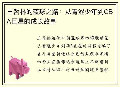 王哲林的篮球之路：从青涩少年到CBA巨星的成长故事