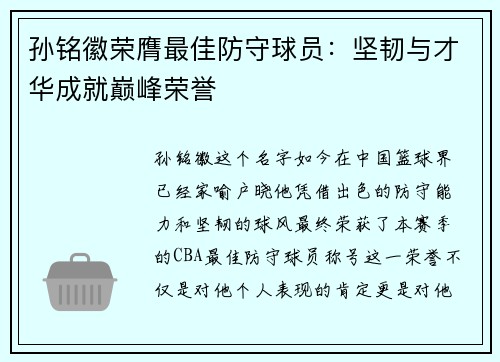 孙铭徽荣膺最佳防守球员：坚韧与才华成就巅峰荣誉