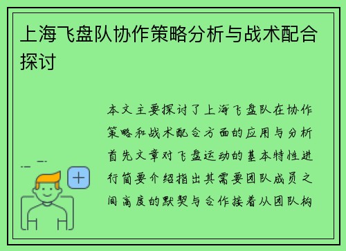 上海飞盘队协作策略分析与战术配合探讨