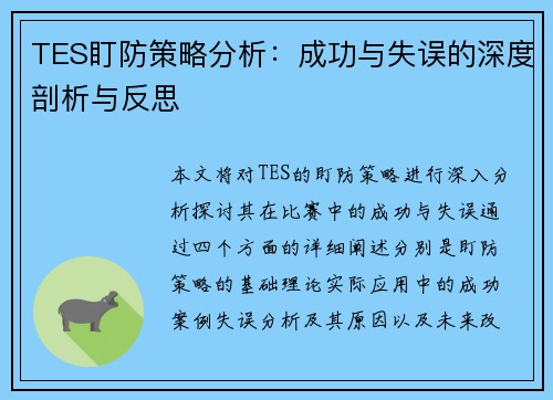 TES盯防策略分析：成功与失误的深度剖析与反思
