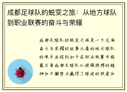 成都足球队的蜕变之旅：从地方球队到职业联赛的奋斗与荣耀