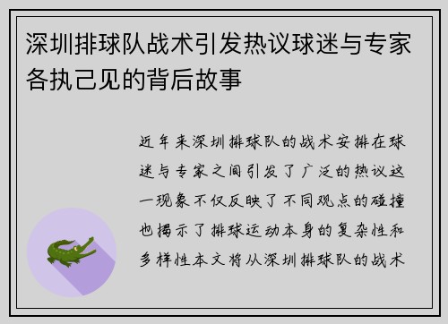 深圳排球队战术引发热议球迷与专家各执己见的背后故事